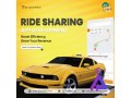 taxi-app-development-solutions-for-modern-entrepreneurs-spotnrides-small-0